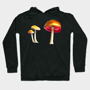 colorful mushroom Hoodie